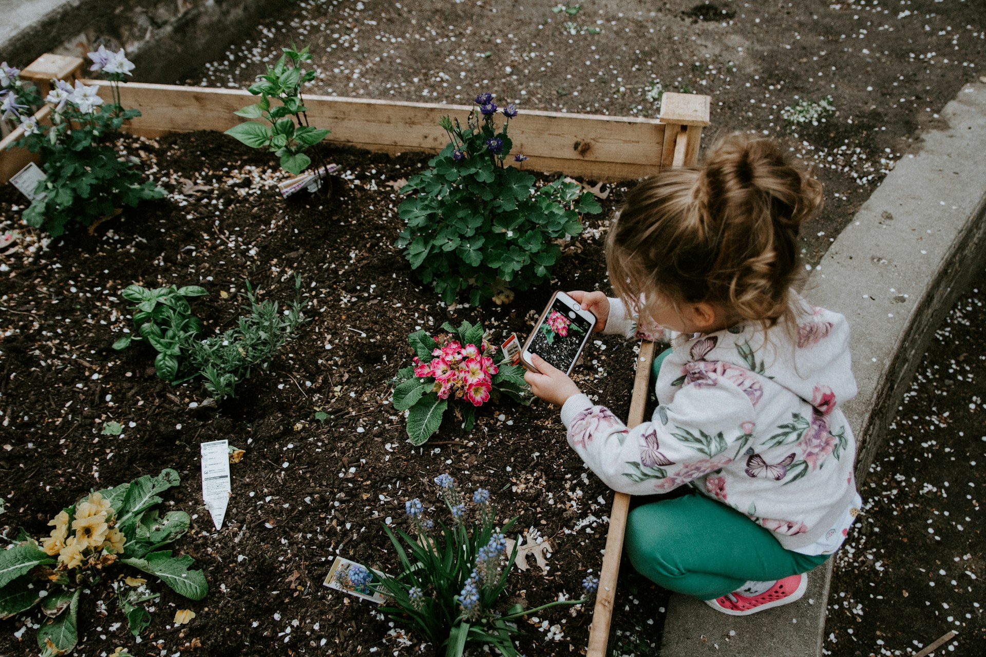 Young girl taking a picture of a flower in a garden